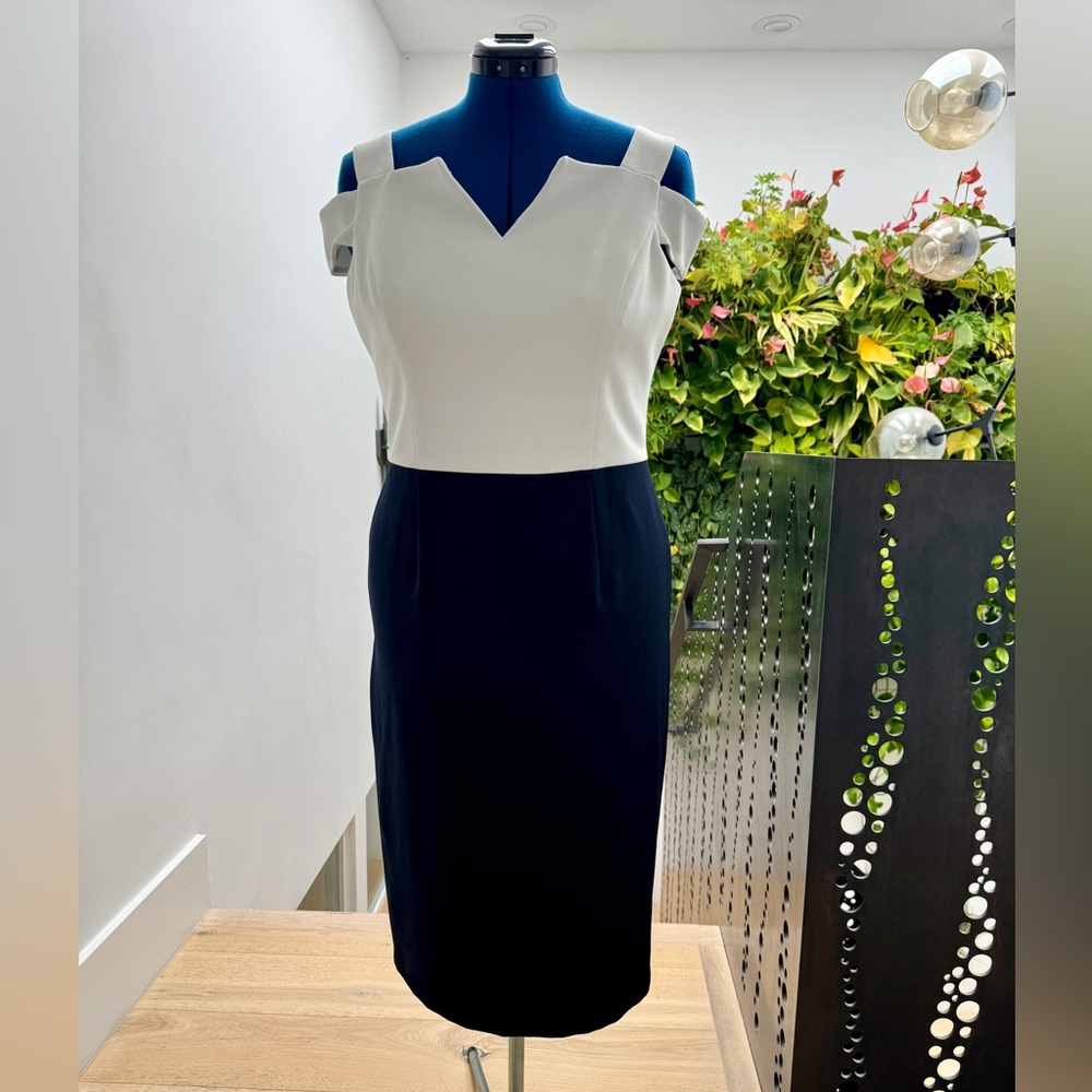 Maggy London Color Block Crepe Sheath Dress